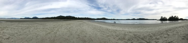 Chesterman's beach pano