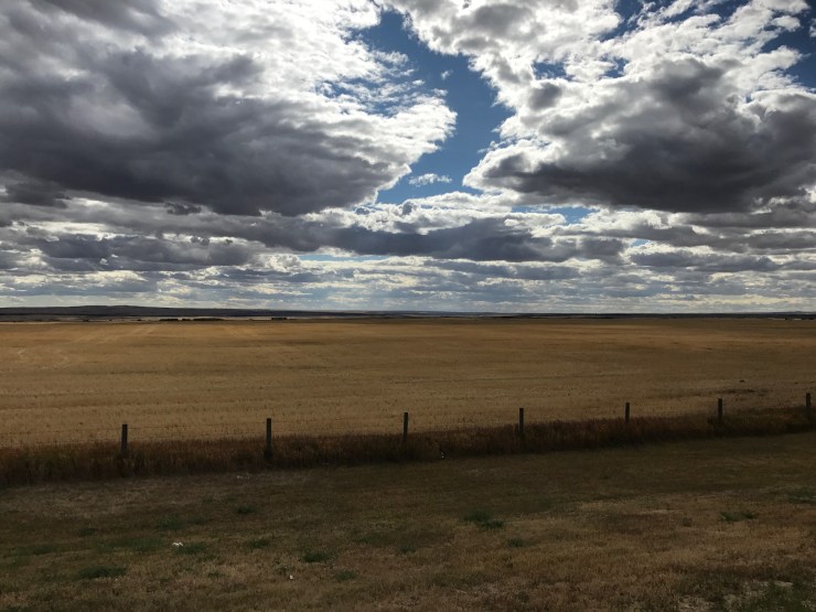 Alberta plaines